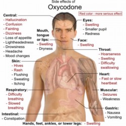 oxycodone addiction 